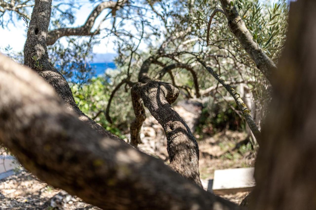 Olive'S Garden House Villa Vela Luka Eksteriør bilde