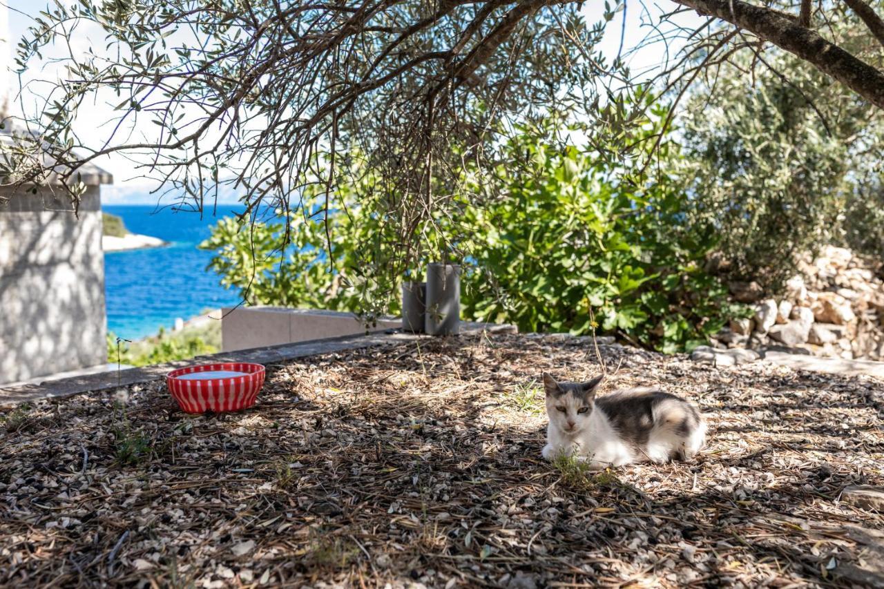 Olive'S Garden House Villa Vela Luka Eksteriør bilde